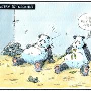 Camley’s Cartoon on Saturday, June 13: Tourist industry set to reopen