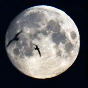 Witchcraft pays attention to the phases of the moon. Picture: Owen Humphreys/PA Wire