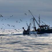 Scottish ministers plan to ban fishing from 10 per cent of waters