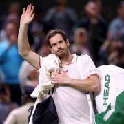 Andy Murray knocked out of European Open after straight-sets defeat