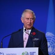 Prince Charles: Big business only 'real prospect' for tackling climate change