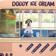 Aldi is the first UK supermarket to launch dog ice cream. Picture: Aldi