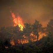 Flames rise during a forest fire on the Greek island of Rhodes last month
