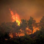 Travel giant takes multi-million hit on Rhodes wildfires