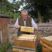 Urban beekeeper Ed O'Brien looks after his bees in Glasgow city centre