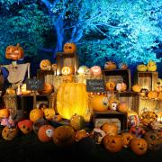 : Ten Halloween celebrations happening this weekend