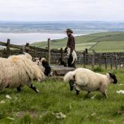 UNESCO initiative calls for support to revive a Scottish woollen industry 