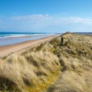 Highland Council's planning committee voted to approve a development on Coul Links in Sutherland but the final decision rests with the Scottish Government