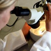 Scientists awarded funding to search for blood test to detect pancreatic cancer