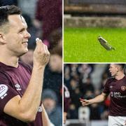 Lawrence Shankland was targeted with items thrown from the stands