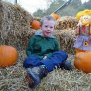 Harry Davie is one of thousands of children in the north east whose communication therapy needs will be compromised by a recent council budget decision.