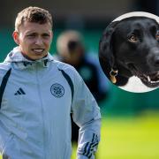 Celtic defender Alistair Johnston in training at Lennoxtown, main picture, and a black Labrador retriever, inset