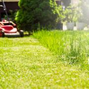 Can’t mow the lawn because it’s sodden? There is another way