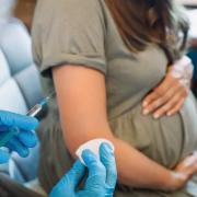 Pregnant women are offered the pertussis vaccine during pregnancy to protect newborn infants from the disease