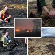 One year on from the Wildfire near Cannich, Nature is proving resilient with support from the RSPB