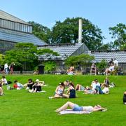 Sunbathers beware! Your tanning days may be terminated. (If scientists can figure out how it can be done.)