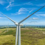 Whitelee Windfarm