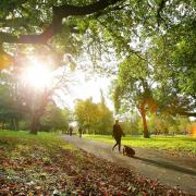 Kelvingrove Park in Glasgow on a beautiful autumn morning. Picture: Colin Mearns/The Herald