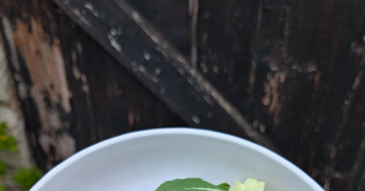 Food for thought: A man-masticating munchable moment missed