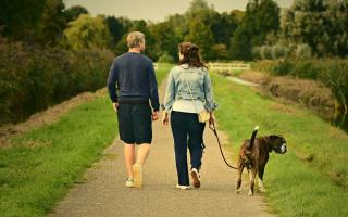 A couple walking their dog. Credit: Canva