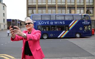 Horse takes a selfie with the new Pride bus