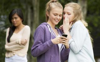 There are growing concerns over youngsters being subjected to cyberbullying