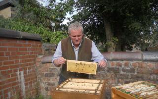 Urban beekeeper Ed O'Brien looks after his bees in Glasgow city centre