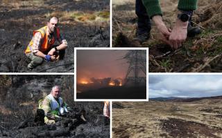 One year on from the Wildfire near Cannich, Nature is proving resilient with support from the RSPB