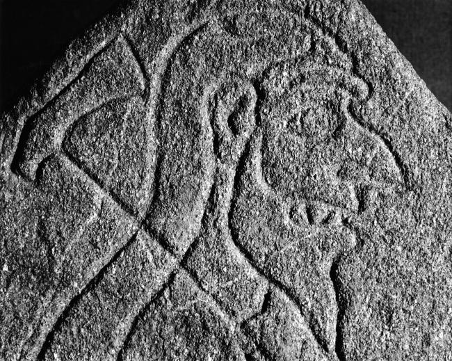 Mystery surrounds the origins of the Rhynie Man