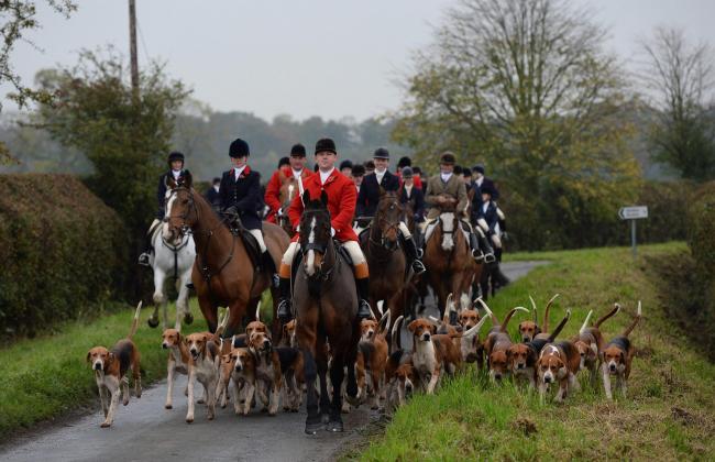 SNP accepted £10,000 from animal rights lobby after intervening in English fox hunting row