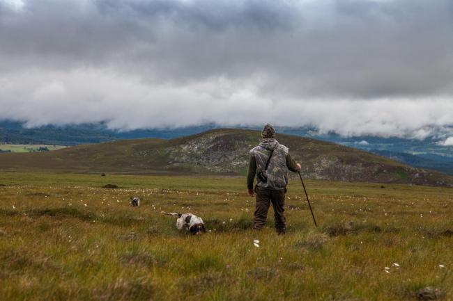 Bad weather spells late start for grouse shooting in parts of Scotland