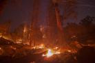 A strong wind blows embers from smoldering trees at a fire in Montecito, California.