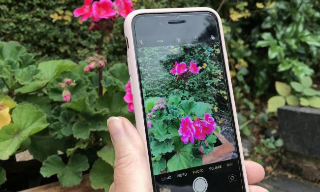 Gardening Made Easy Four Of The Best Free Gardening Apps
