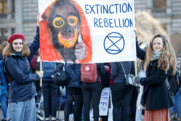 Who organised Glasgow's student climate strikes?