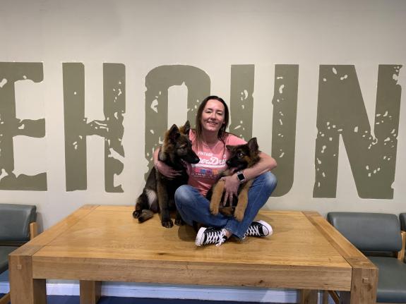 The Herald: The puppies taking their duties very seriously. Credit: UGC The Herald: The puppies taking their duties very seriously. Credit: UGC