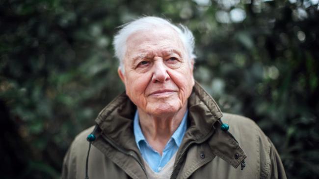 Sir David Attenborough to present ‘unflinching’ climate change documentary