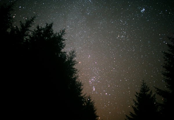Galloway Forest Park for Stargazing